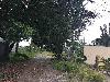 Prime Commercial Lot for Sale in Alabang, Muntinlupa